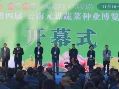 2020云南元謀蔬菜種業博覽會開幕